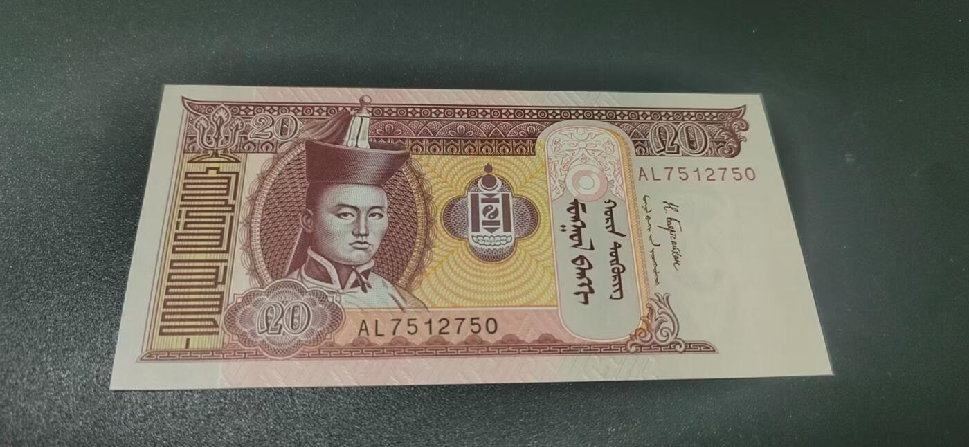 外币专场，地图升级版 蒙古     图格里特   一张，地图升级版，护币袋上有国家地图和国家简介、国旗等！扫护币袋上二维码，可详细了解国家简介！