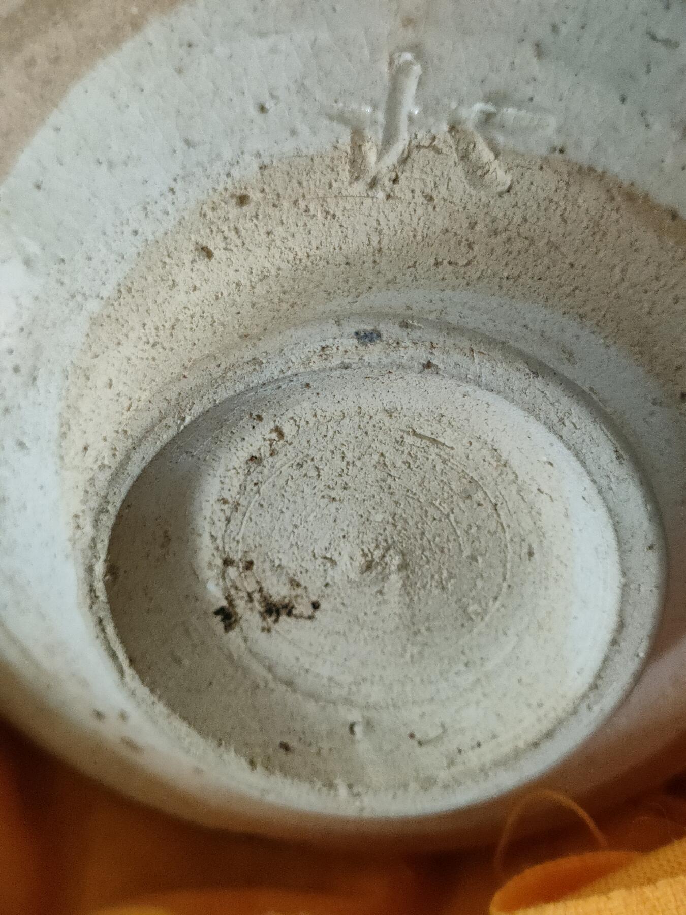 世界纸币，硬币，杂项专场