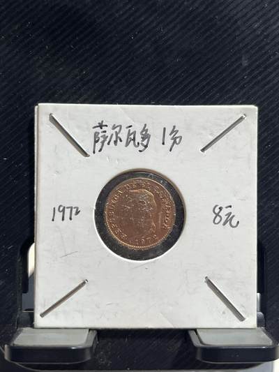 外币专场 萨尔瓦多