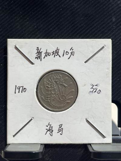 外币专场 新加坡海马