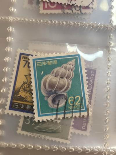 外国邮票 6