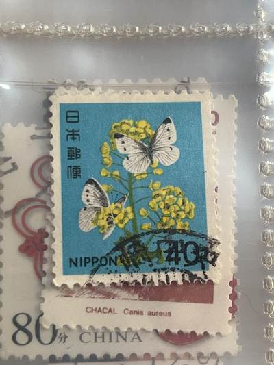 外国邮票 43