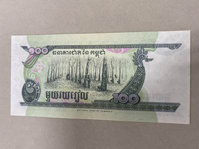 康怡轩钱币【世界纸币专场】第251012期  柬埔寨 100里尔
