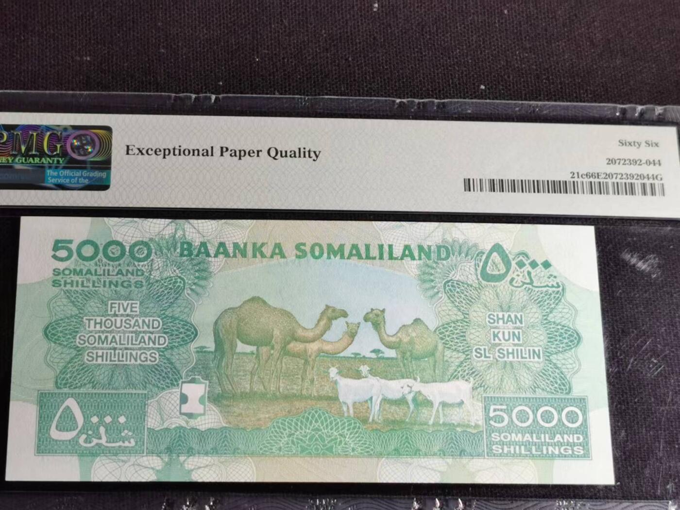 刘世昌艺术品销售中心～虎踞龙蟠*金杨在线联拍群第508期