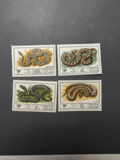 3期新疆小崔一苏联邮票纪念封拍卖 - 苏联邮票