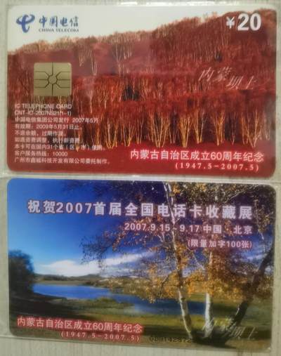 中国电信CNT-IC-2007NS21（1-1）祝贺2007首届全国电话卡收藏展（纪念加字限100枚），1枚1套新卡非原封套。 - 中国电信CNT-IC-2007NS21（1-1）祝贺2007首届全国电话卡收藏展（纪念加字限100枚），1枚1套新卡非原封套。