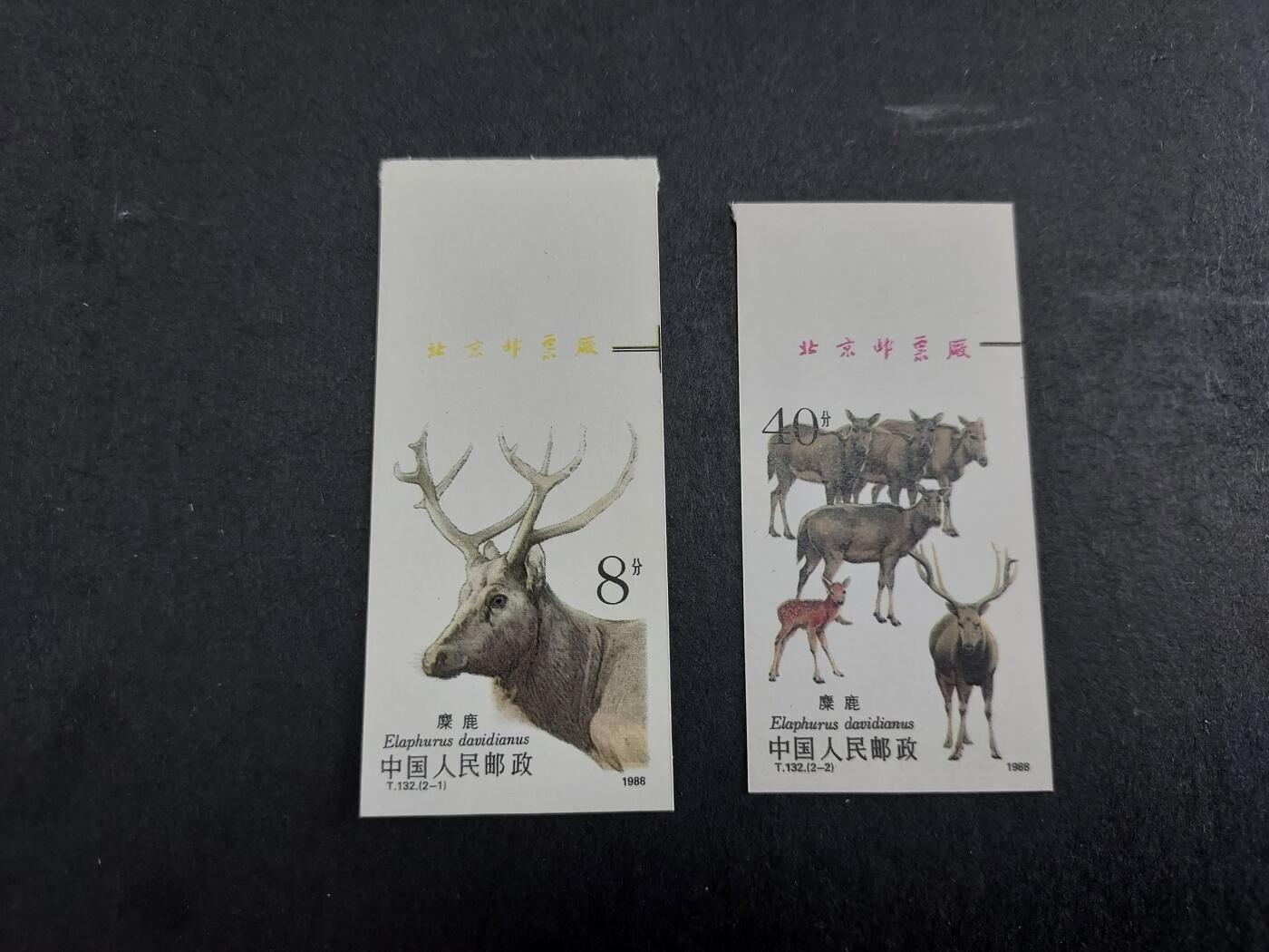 理想集藏/博彦收藏 9月18日 邮票专场 麋鹿 新全带铭 全新