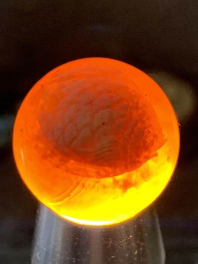 精美亚光战国红玛瑙手工巧雕胖鲤鱼圆珠一个， 精美亚光战国红玛瑙手工巧雕胖鲤鱼圆珠一个，