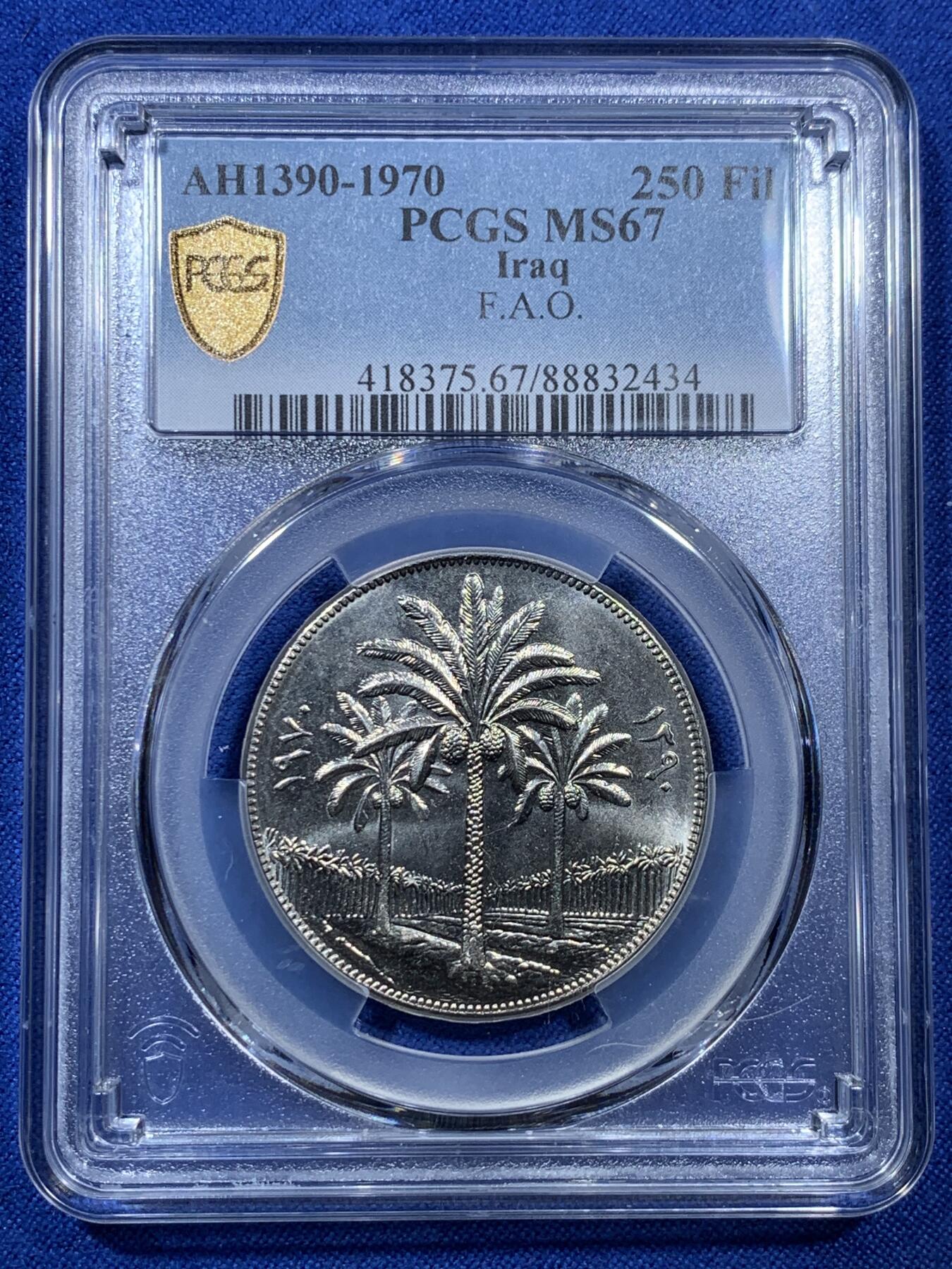 《竞宝斋》第307场   周日，周一,周二 3场连拍 （全场包邮） PCGS金盾 MS67 伊拉克1970年椰树250费尔 国家银行同样图案FAO 冠军分