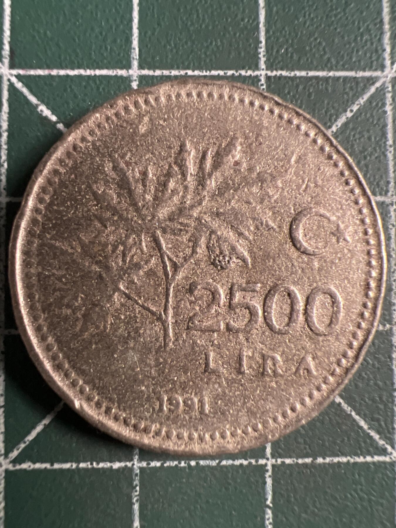第709期 硬币专场 （无押金，捡漏，全场50包邮，偏远地区除外，接收代拍业务，本店十天发一次货） 土耳其2500里拉