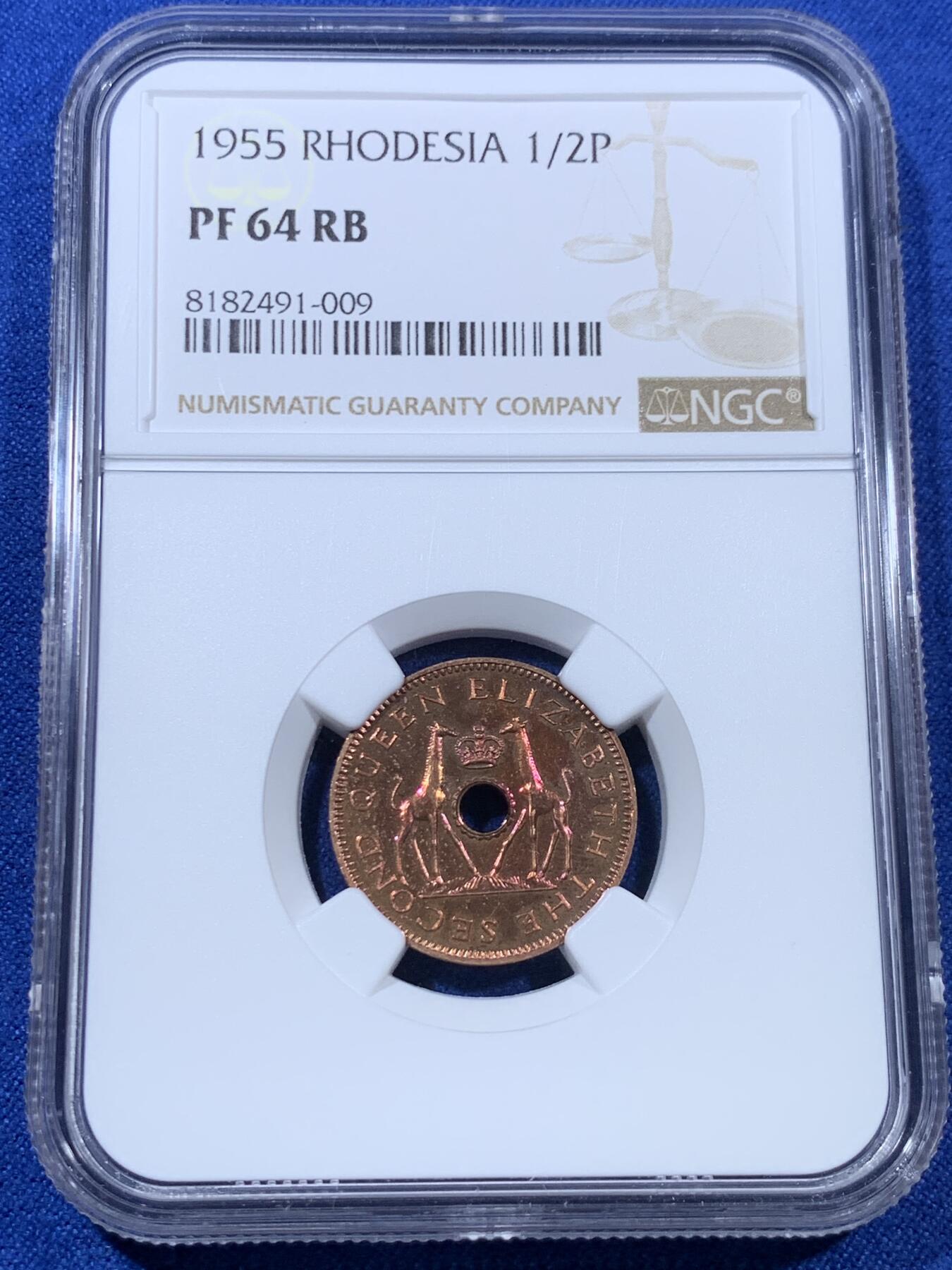 《竞宝斋》第307场   周日，周一,周二 3场连拍 （全场包邮） NGC PF64RB 1955年罗德西亚和尼亚萨兰长颈鹿1/2便士精制长颈鹿铜币
