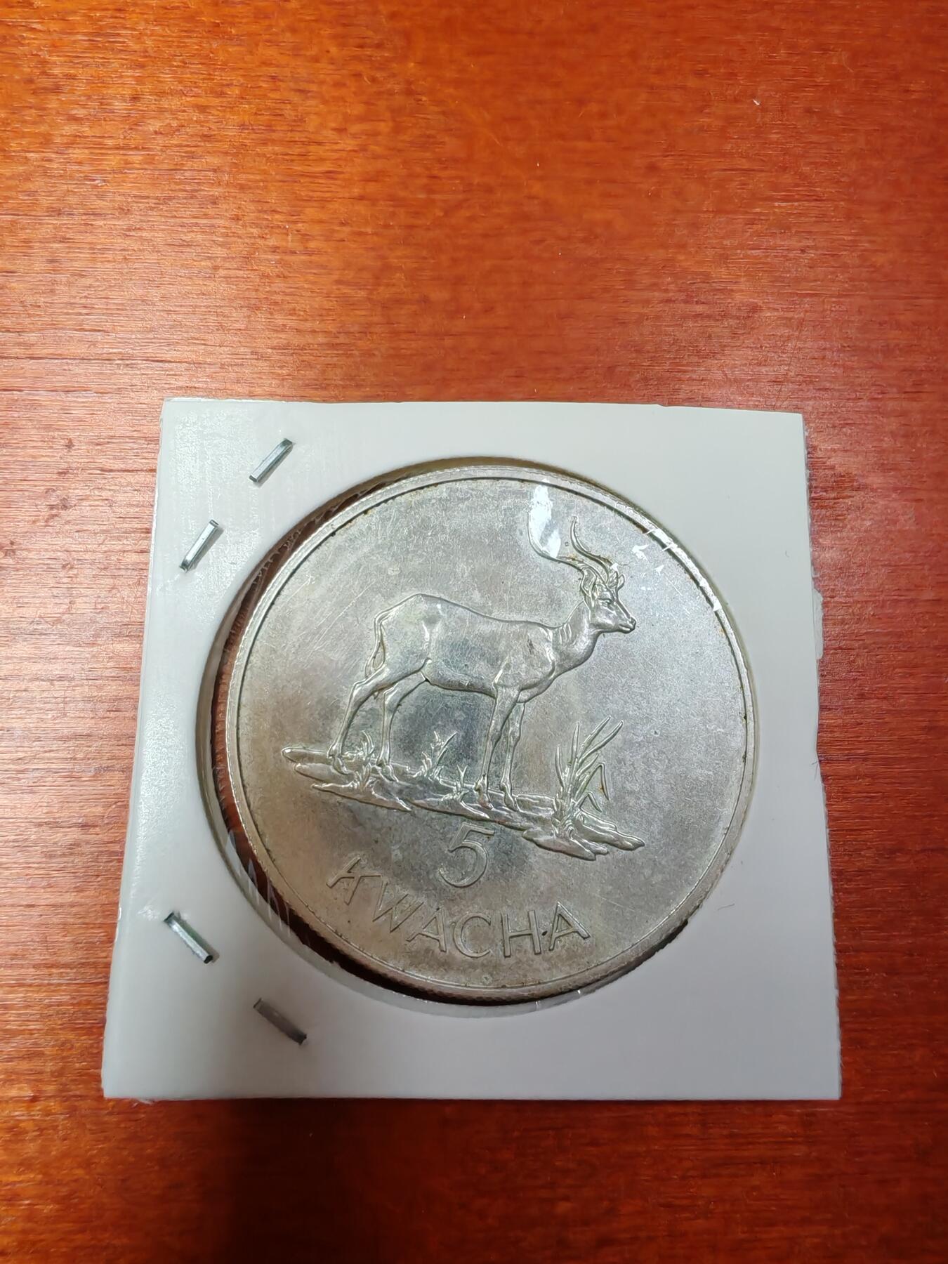 长老汇龙年精选第三十场拍卖 1979赞比亚驴羚5卡瓦查精制银币，3407枚，大版，28.28克925银