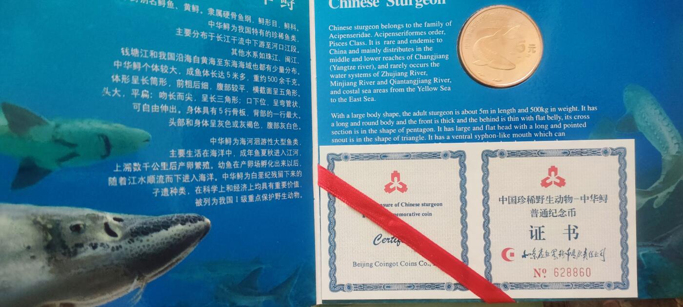 12月31日 世界币章