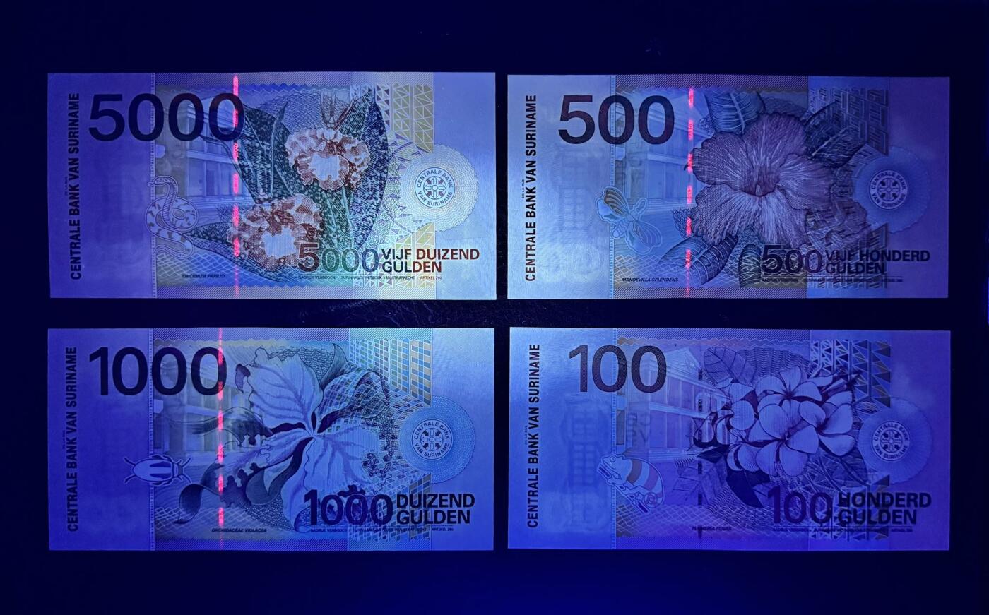 收藏联盟Quantum Auction 第377期拍卖  苏里南2000年5到5000盾 品相全新UNC 花鸟版