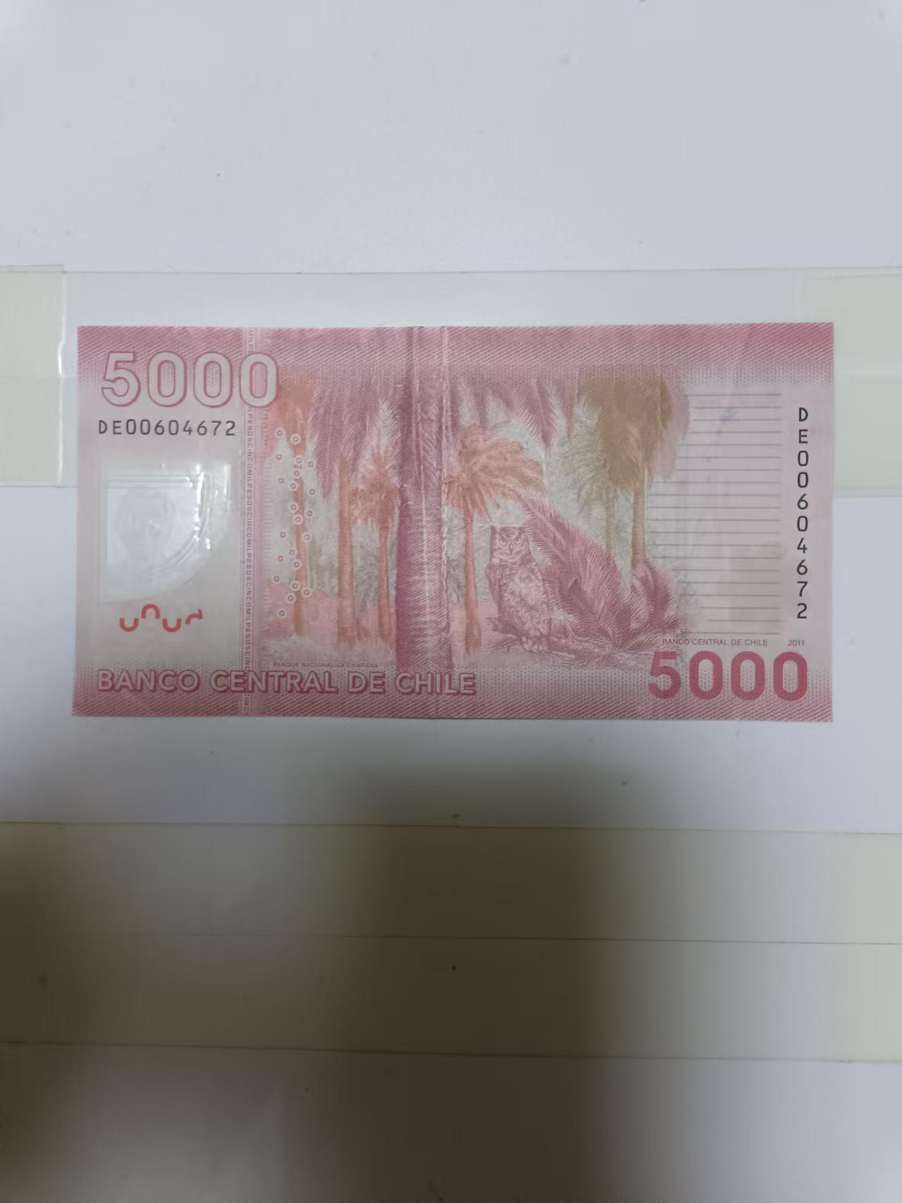 【20240919】非全新纸币第166场 智利5000比索塑料钞，有字迹