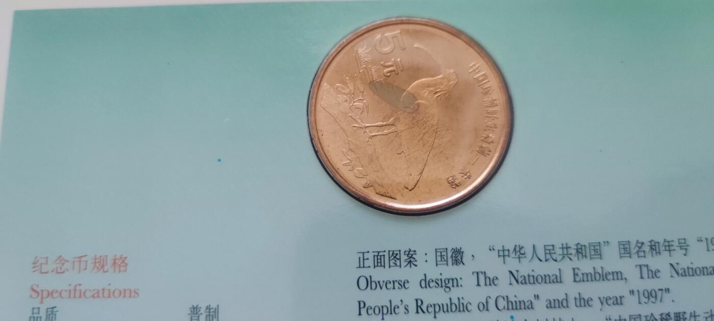 12月31日 世界币章