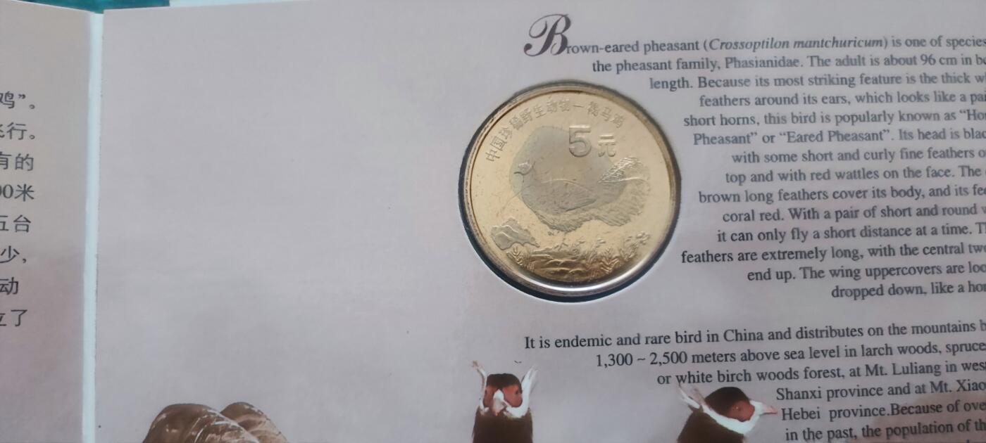 12月31日 世界币章