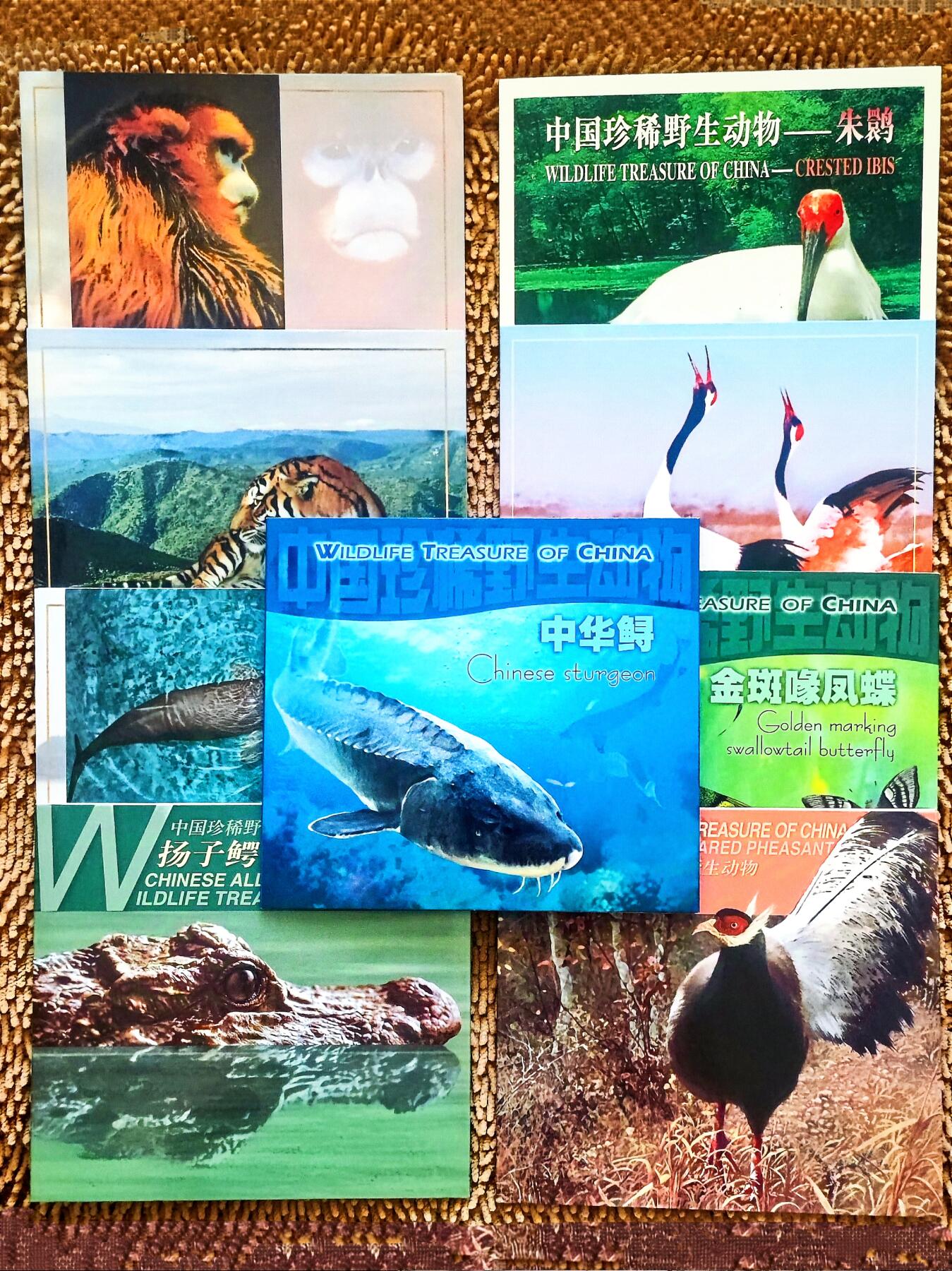 12月31日 世界币章