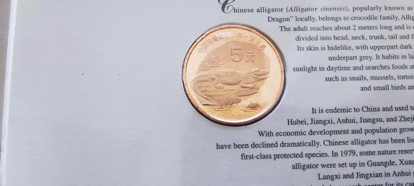 12月31日 世界币章