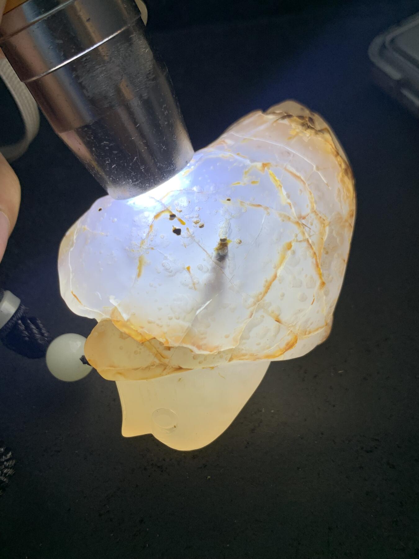 精美天然冰裂纹马达加斯加玛瑙雕刻小鸡出壳把件一个，