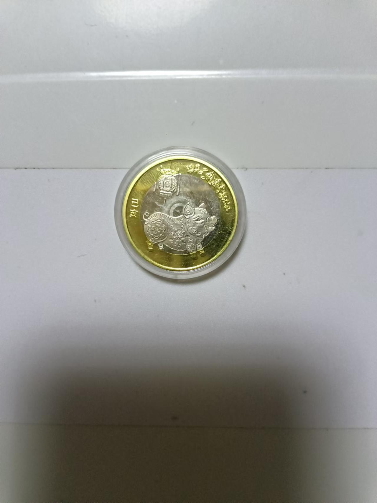 【20240920】非全新硬币和纸币第167场 猪年纪念币10元