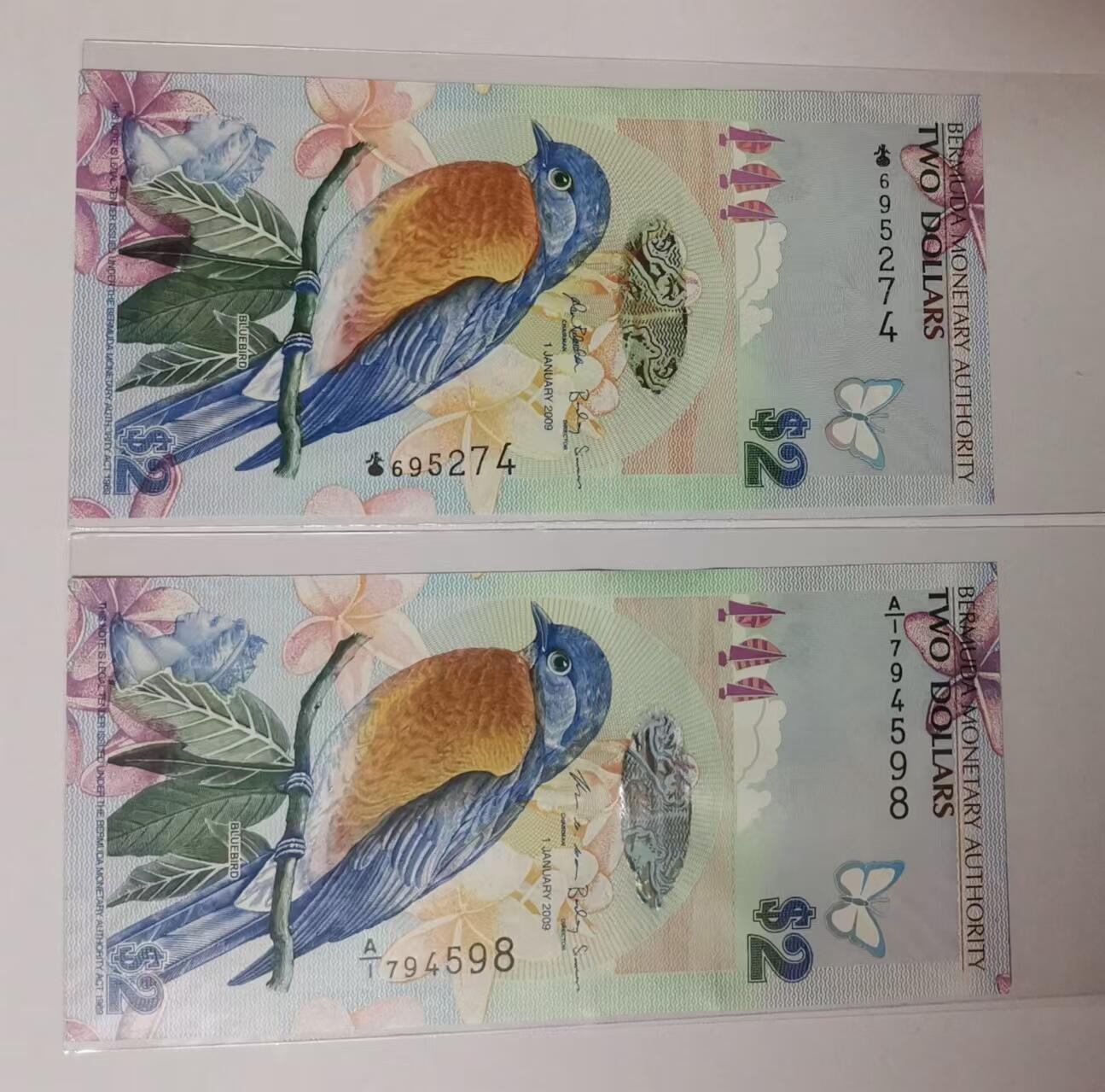 《张总收藏》168期-周六外币荟萃 (2张UNC获奖钞)百慕大09年洋葱冠/A1冠2元 蓝鸟 非常漂亮