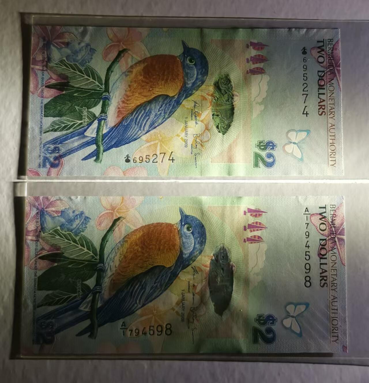 《张总收藏》168期-周六外币荟萃 (2张UNC获奖钞)百慕大09年洋葱冠/A1冠2元 蓝鸟 非常漂亮