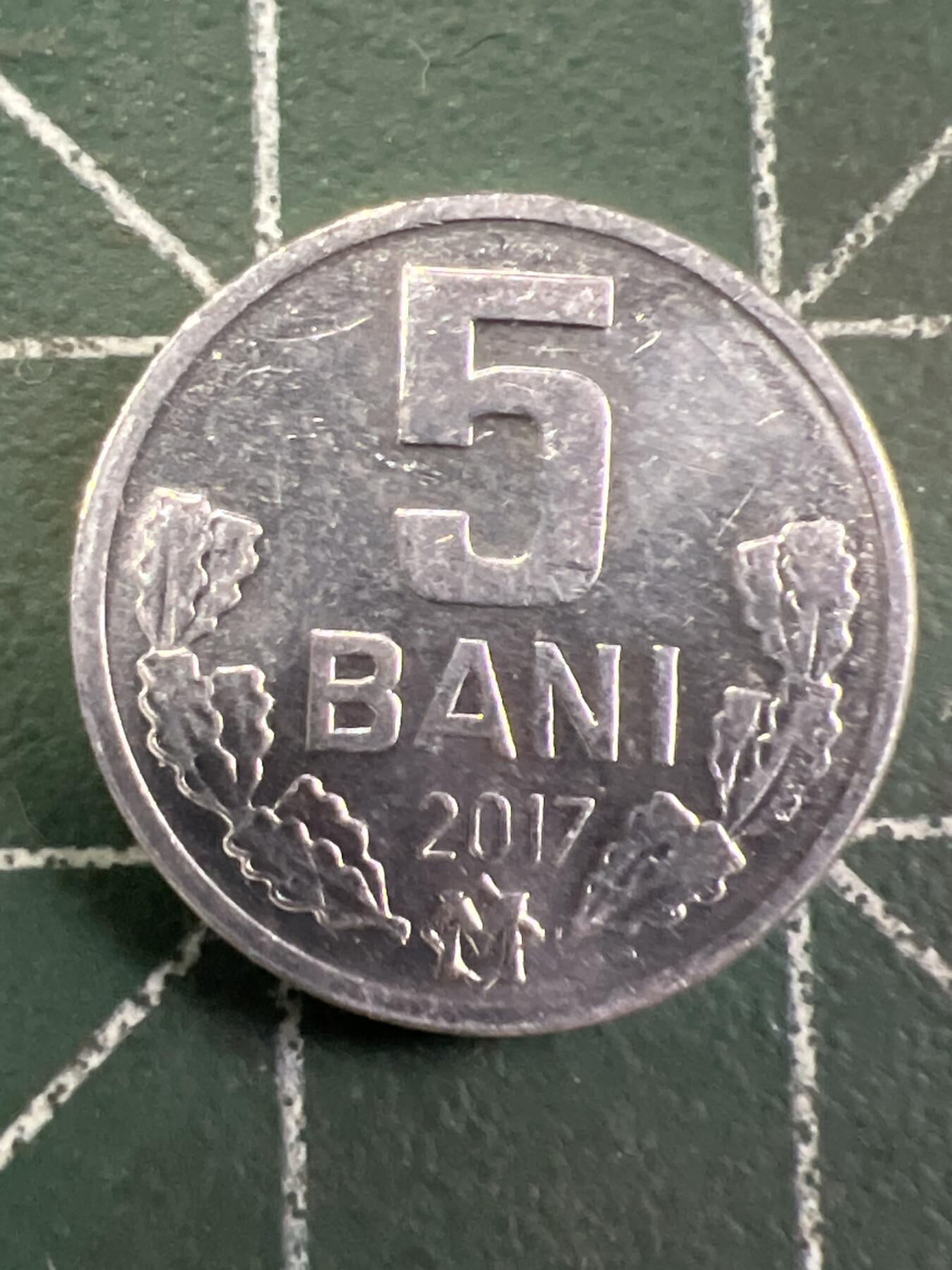 第733期  硬币专场 （无押金，捡漏，全场50包邮，偏远地区除外，接收代拍业务，本店十天发一次货） 摩尔多瓦5巴尼