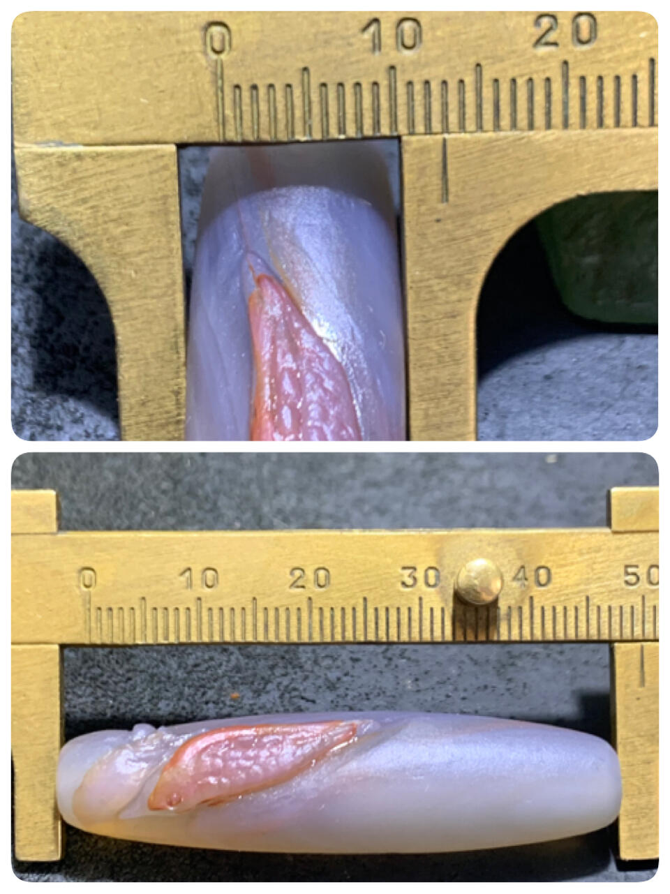 精美亚光高玉化巴西玛瑙手工俏色巧雕喜上眉梢随形桶珠一个