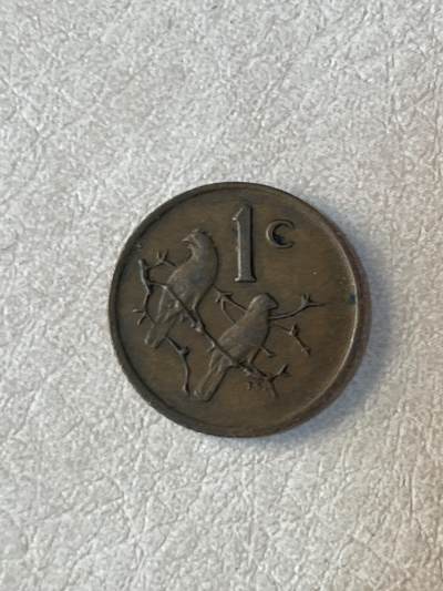 国外硬币拍卖 南非