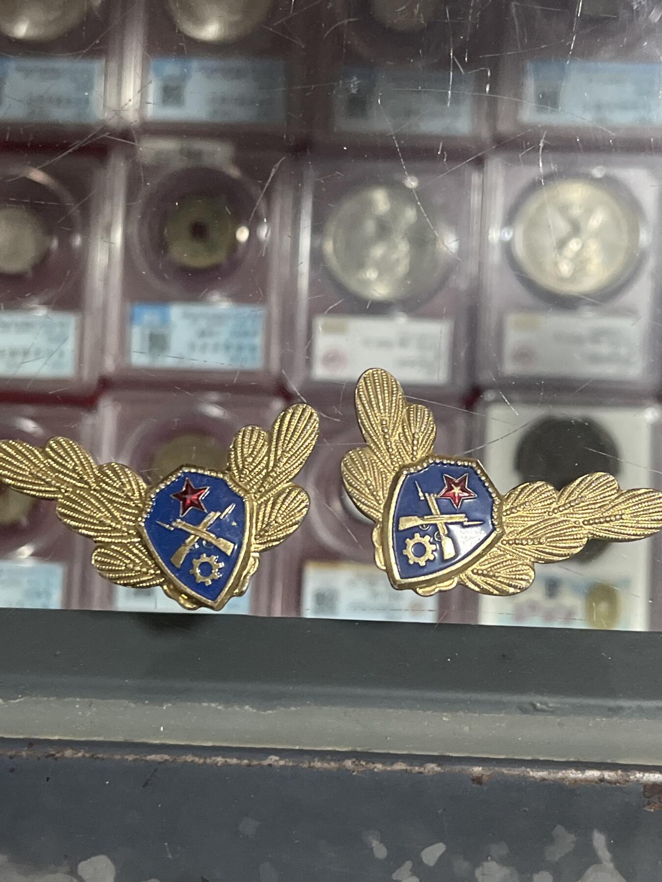 钱币，纪念章，杂项拍卖专场 领花一对
