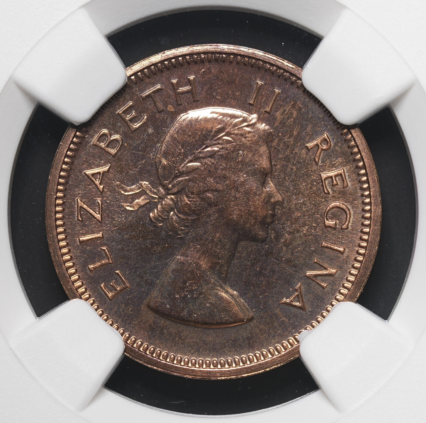 修遠堂世界钱币第四十期 全场包邮 NGC PF65RB 1958年南非1/4便士精制铜币 仅铸造985枚