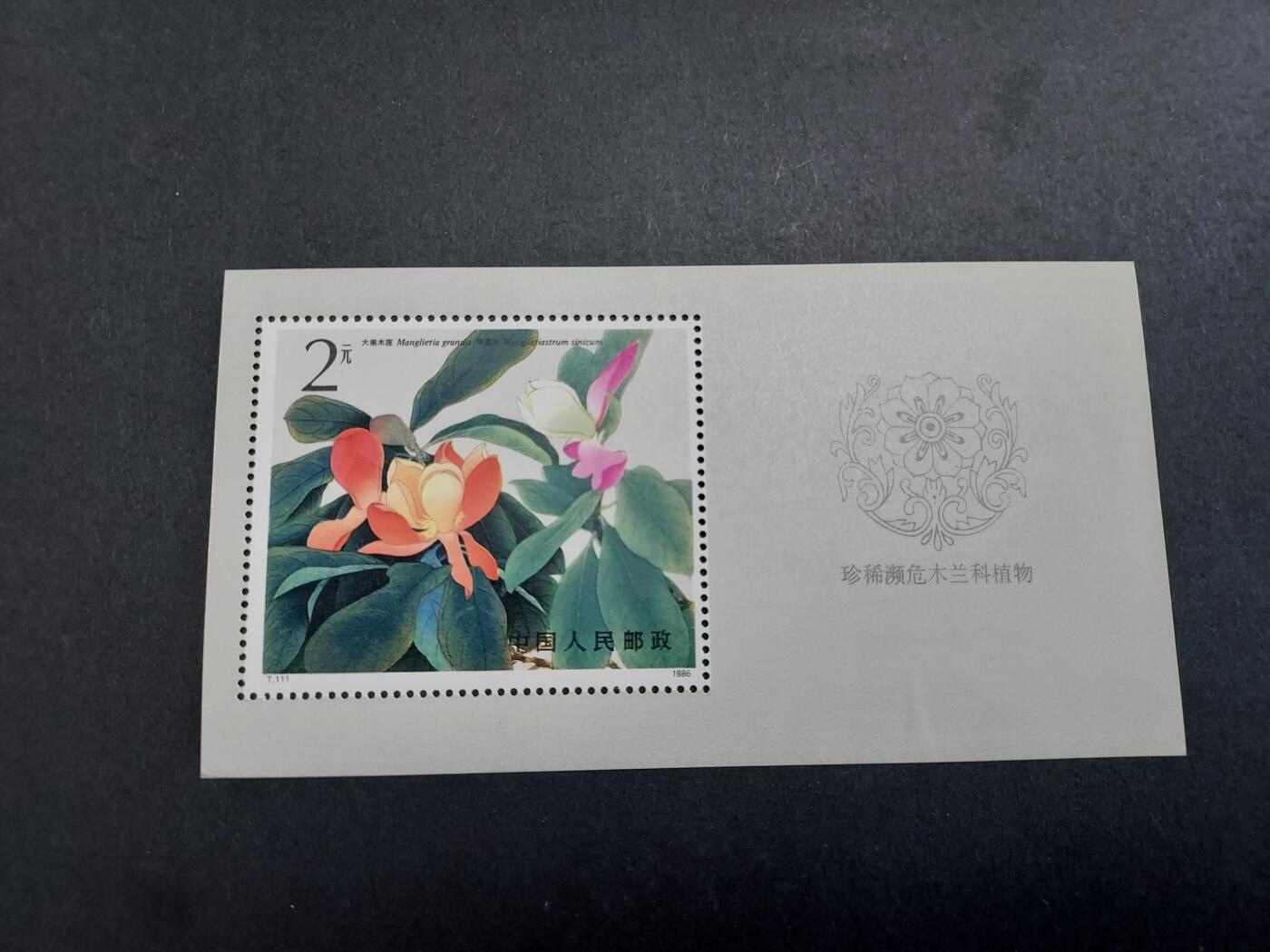 理想集藏/博彦收藏 11月16日 8点邮票专场 T111M 轻微暗黄 近全品
