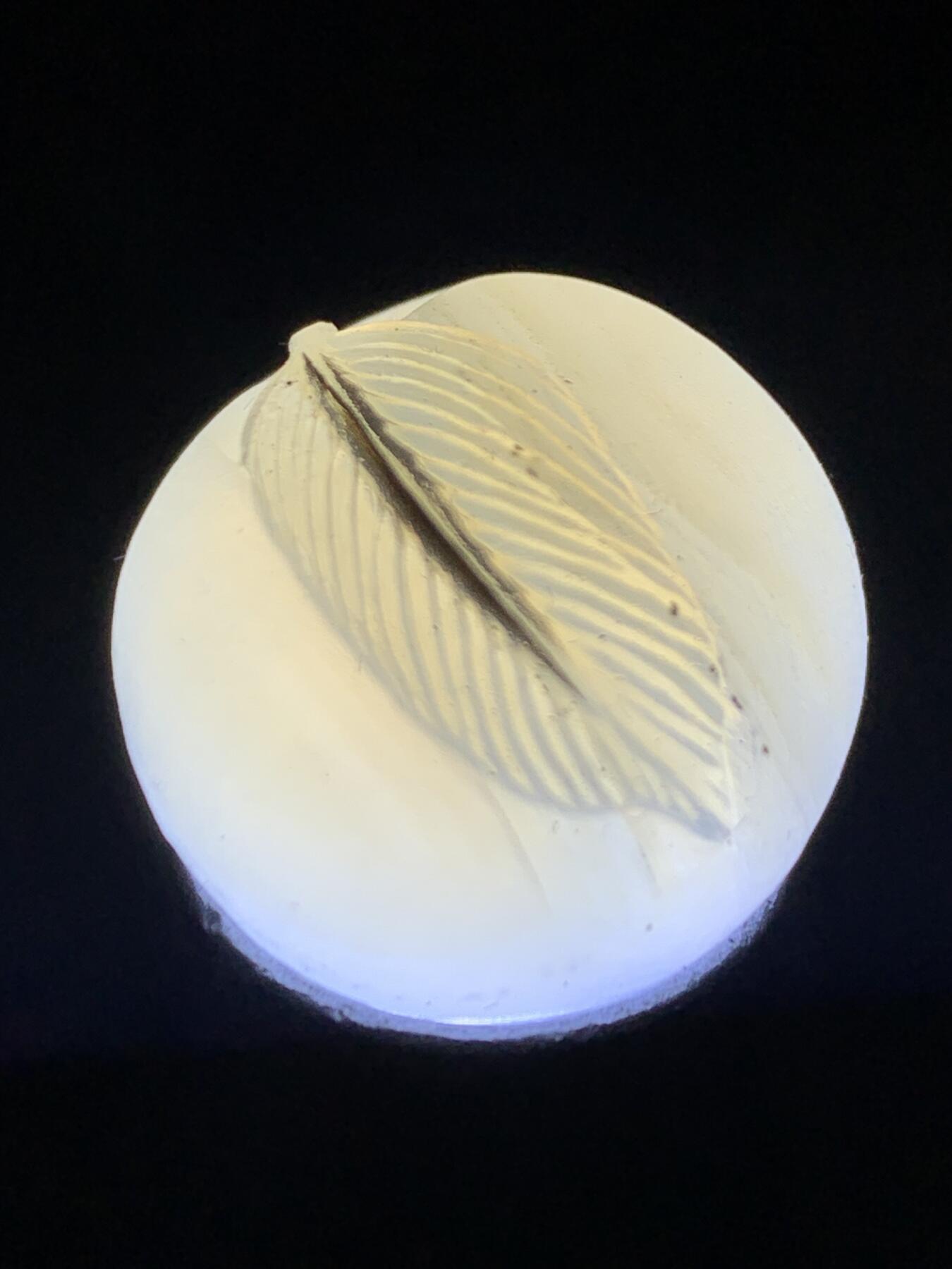 精美高玉化亚光海洋玉髓手工俏色巧雕羽毛2.0随形圆珠一个！