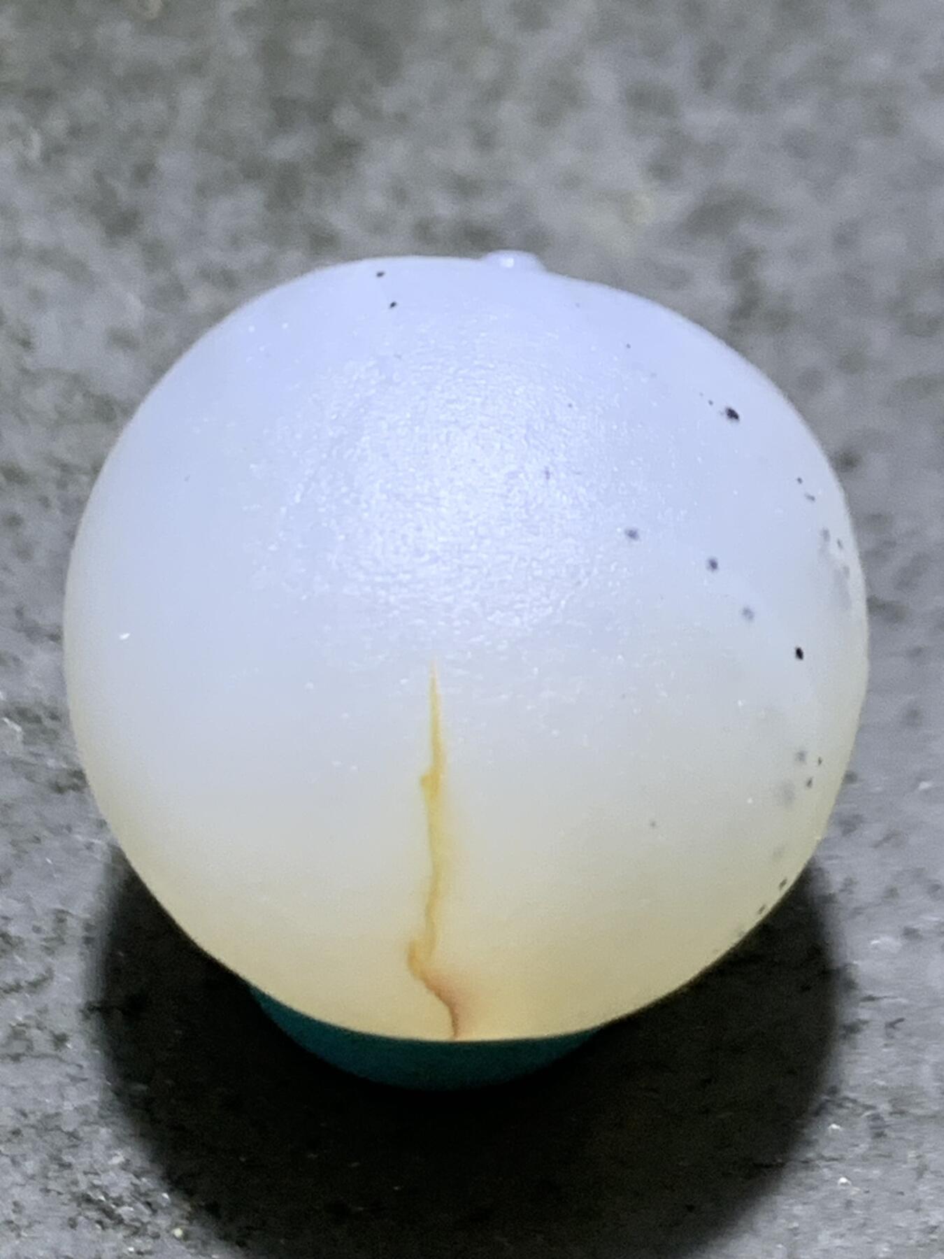 精美高玉化亚光海洋玉髓手工俏色巧雕羽毛2.0随形圆珠一个！