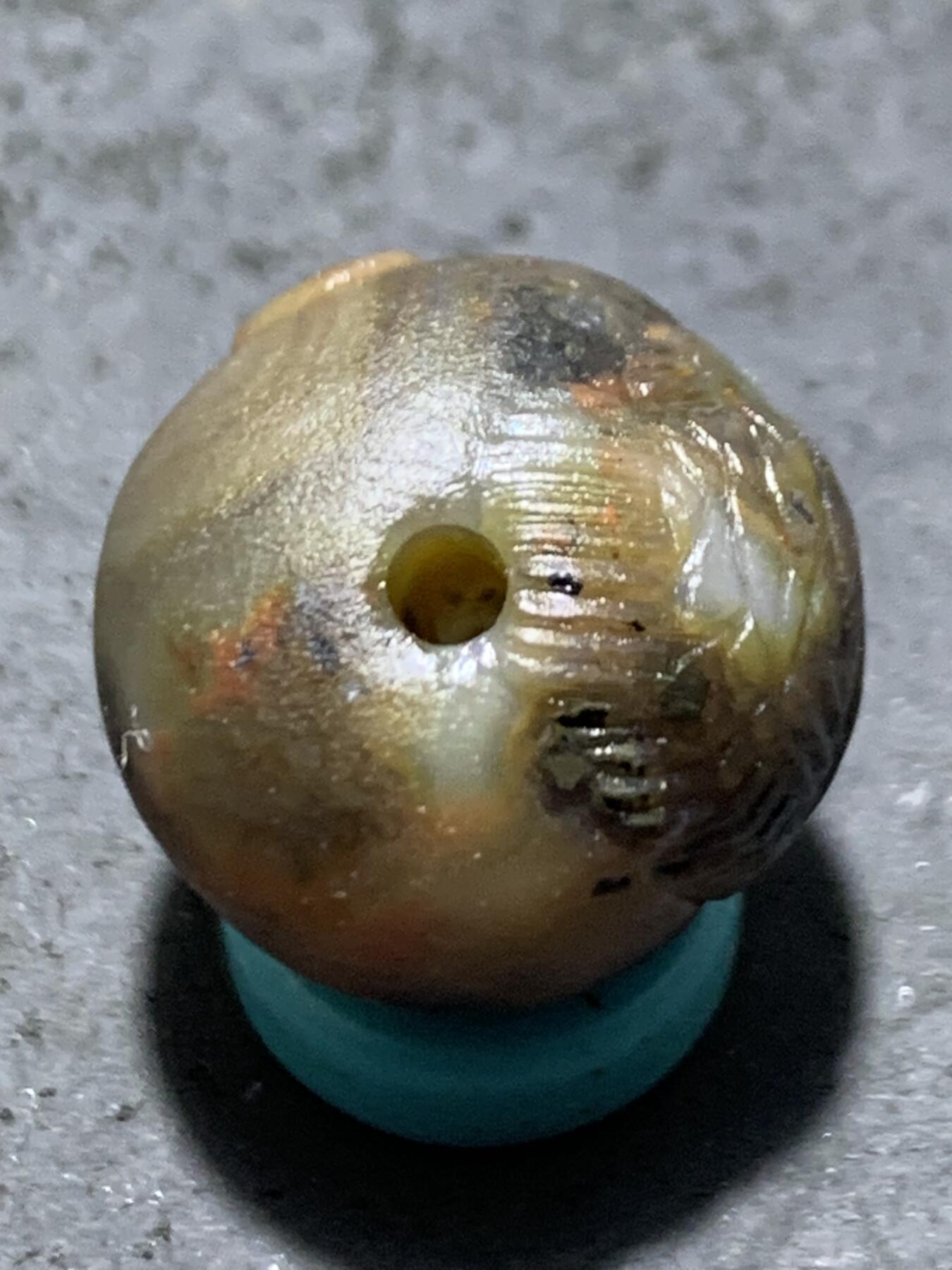 精美亚光冻料战国红玛瑙手工俏色巧雕钱币，鱼随形珠一个，