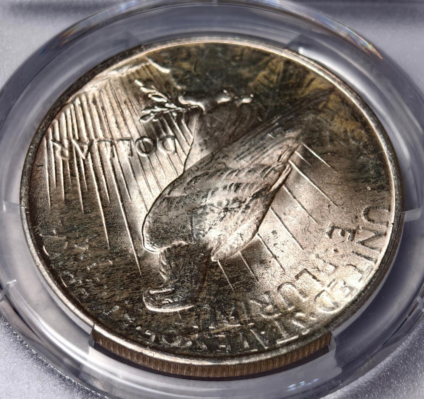 紫瑗钱币——第448期 美国 1923年 和平鸽 1元 银币 PCGS MS65 老盒 65难度比摩根高 带包浆