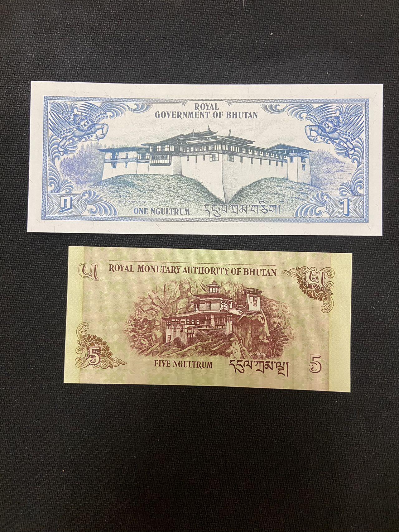 【炜奕收藏】，第十四期，裸钞专场 不丹1981年1&2006年5努尔特鲁姆两张，UNC品相