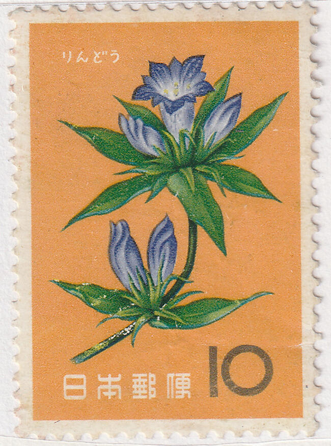 洪涛臻品批发群 精选邮票限时拍卖第七百八十期  日本1961年二月花系列-龙胆 新票正反图