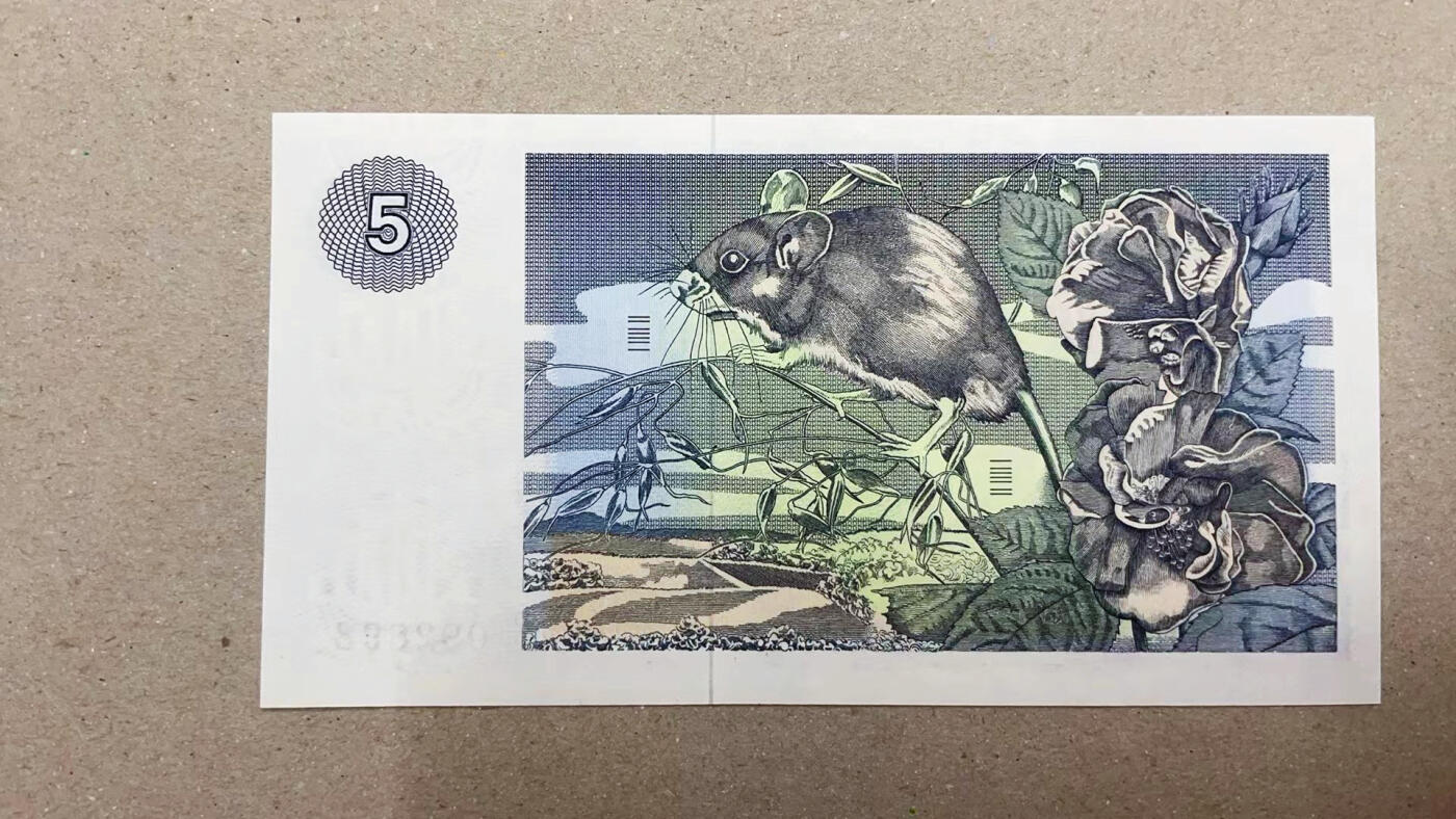 【Blue Auction】✨世界纸币精拍第551期【精】 【无47】苏格兰 1981年5镑 大老鼠 全新UNC（卖家发货）