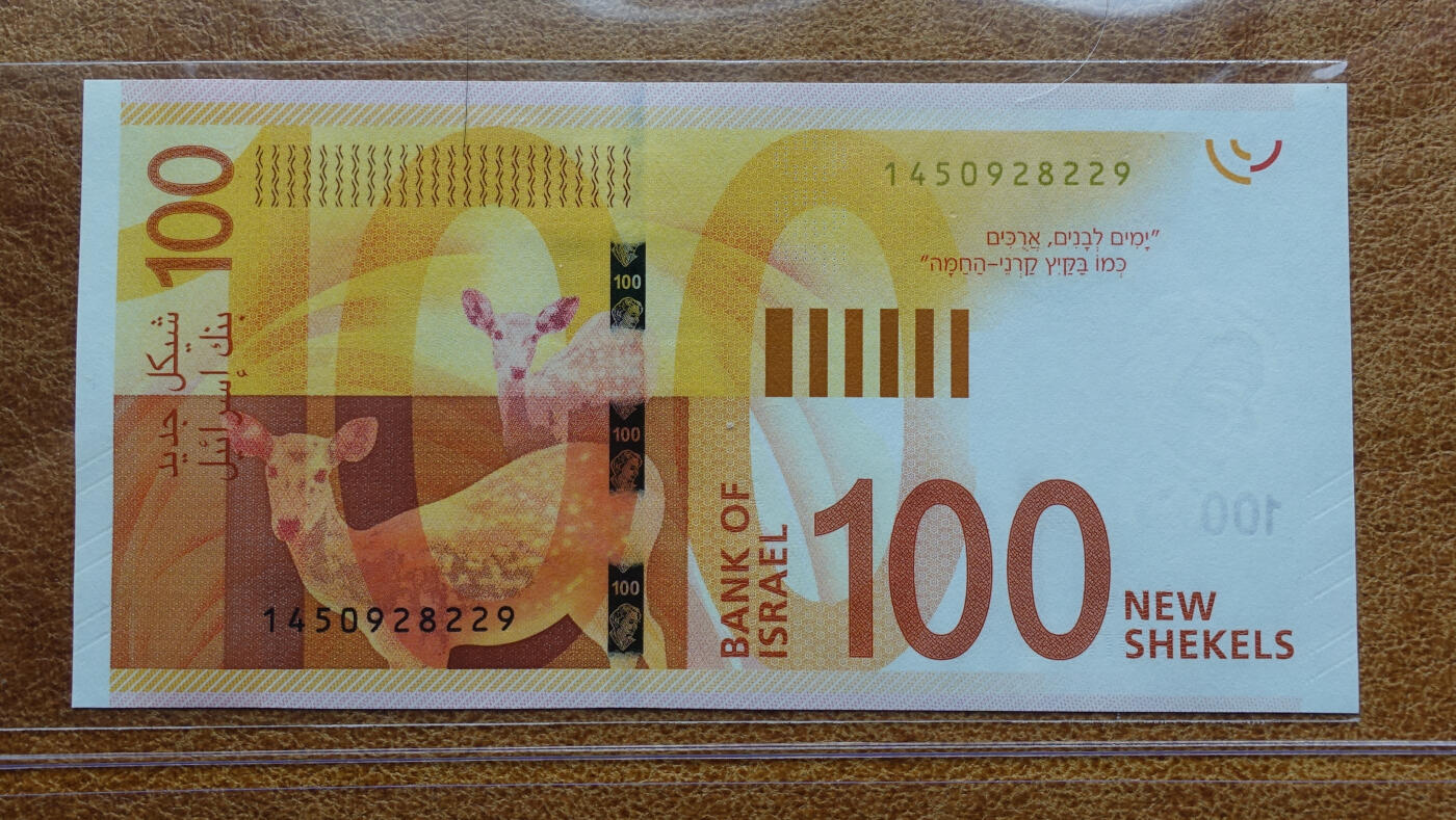 2017年以色列银行100新谢克尔  全新