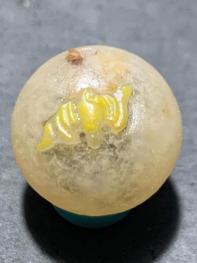精美冰飘糖心料亚光战国红玛瑙巧雕蝙蝠钱币2.0圆珠一个 - 精美冰飘糖心料亚光战国红玛瑙巧雕蝙蝠钱币2.0圆珠一个