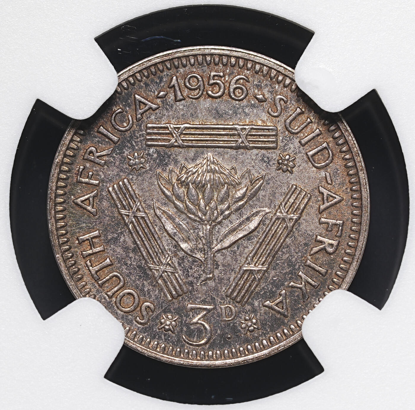 修遠堂世界钱币第四十一期 全场包邮 NGC PF64 1956年南非3便士精制银币 仅铸造1700枚 五彩包浆