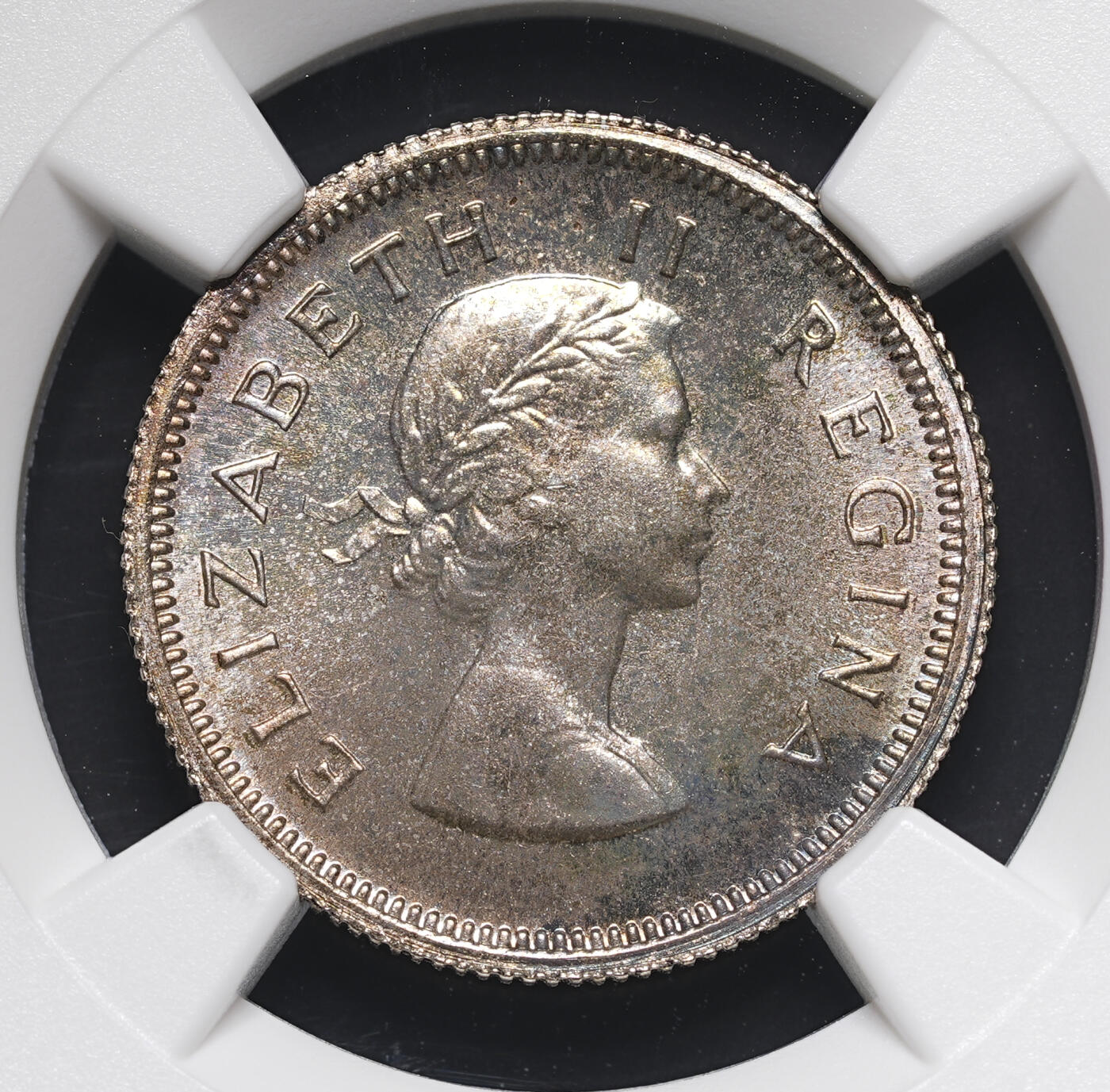 修遠堂世界钱币第四十一期 全场包邮 NGC PF65 1956年南非6便士精制银币 仅铸造1700枚 五彩包浆