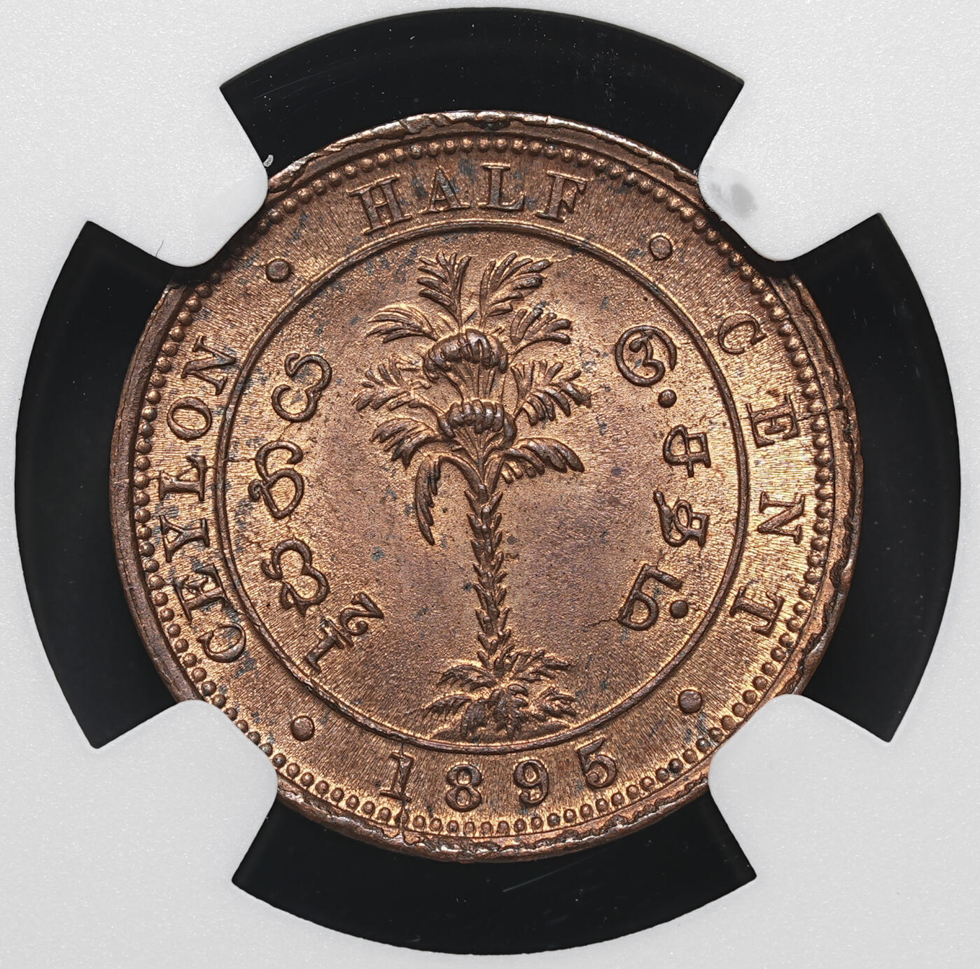 修遠堂世界钱币第四十一期 全场包邮 NGC MS64RB 1895年英属锡兰1/2分铜币
