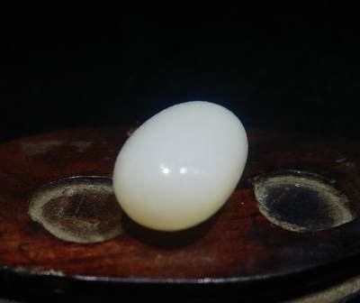 新疆和田羊脂白玉吊坠挂件，玉质油润细腻脂粉十足，无修原籽原皮，料子通体表面可见天然毛孔。克万，好玉不琢未打孔！可代镶嵌！尺寸:3.5cm*2.0cm*1.3cm.    克重:16.8g 新疆和田羊脂白玉吊坠挂件，玉质油润细腻脂粉十足，无修原籽原皮，料子通体表面可见天然毛孔。克万，好玉不琢未打孔！可代镶嵌！尺寸:3.5cm*2.0cm*1.3cm.    克重:16.8g