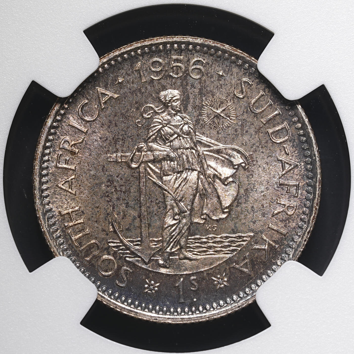 修遠堂世界钱币第四十一期 全场包邮 NGC PF65 1956年南非1先令精制银币 仅铸造1700枚 五彩包浆