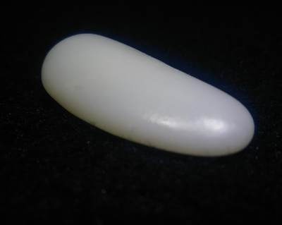 收藏级新疆和田籽料原皮原籽无修羊脂白玉吊坠挂件，好玉不琢未打孔。玉质温润细腻有光泽，打灯无结构！实物实拍无滤镜！ ​尺寸:5.3cm*2.6cm*1.4cm ​克重:30.8g - 收藏级新疆和田籽料原皮原籽无修羊脂白玉吊坠挂件，好玉不琢未打孔。玉质温润细腻有光泽，打灯无结构！实物实拍无滤镜！ ​尺寸:5.3cm*2.6cm*1.4cm ​克重:30.8g