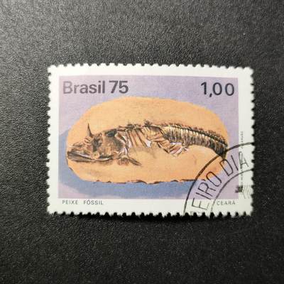 江湖杂货铺    【第101期】       【无佣金、全场包邮】 - 巴西🇧🇷化石