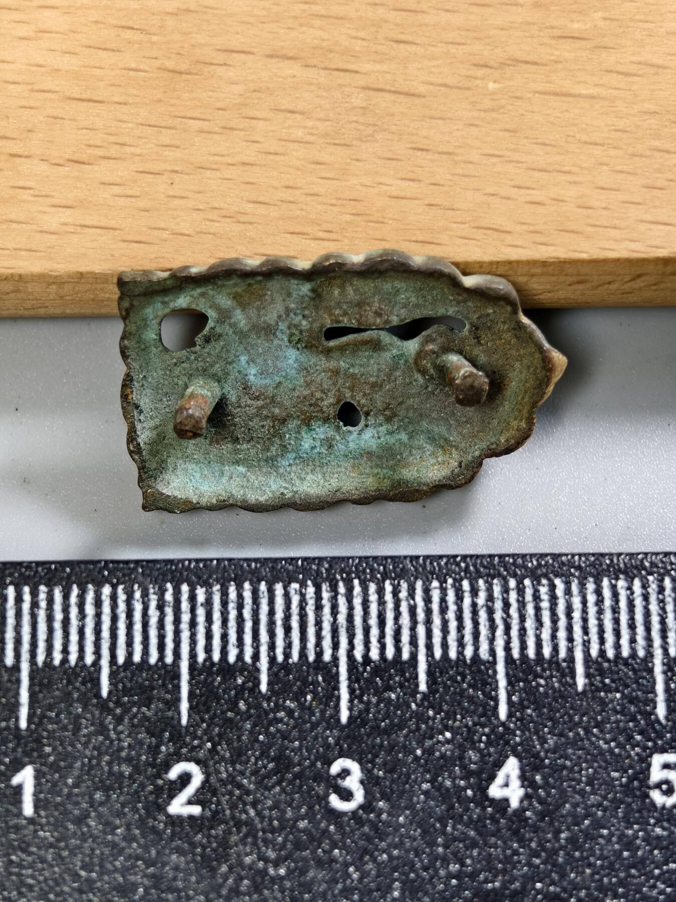 九期新疆小崔一丝路币杂件工艺品徽章拍卖 铜老虎饰品